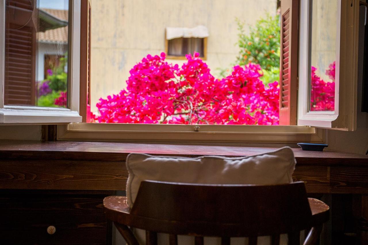 Lefkada Town Traditional House / Cozy Yard Εξωτερικό φωτογραφία